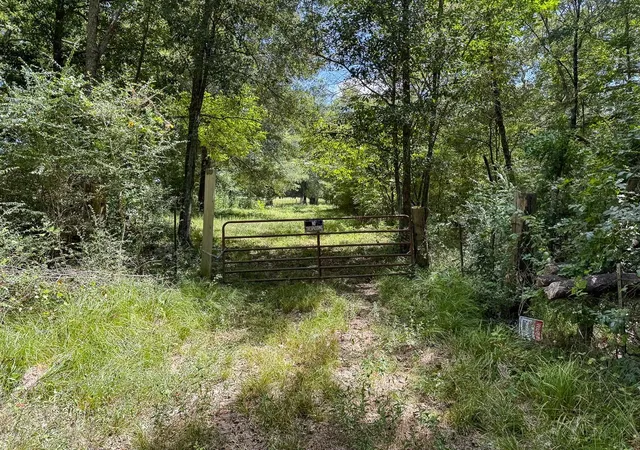 Photo 3 of Land for sale at Tbd Elmore Loop, Shepherd, TX 77371 | MLS# 61181896 | Listing updated on 2026-08-28
