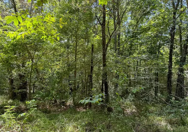 Photo 3 of Land for sale at Tbd Elmore Loop, Shepherd, TX 77371 | MLS# 61181896 | Listing updated on 2026-08-28