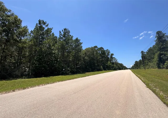 3rd image of 231 Iron Horse Rd, Willis, TX 77378 | MLS# 24853385