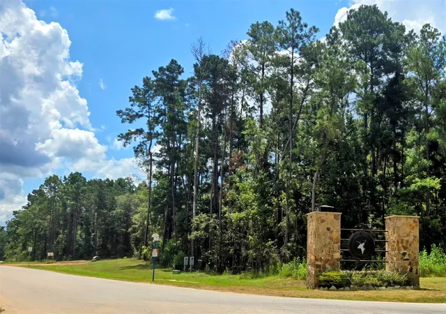 5th image of 231 Iron Horse Rd, Willis, TX 77378 | MLS# 24853385