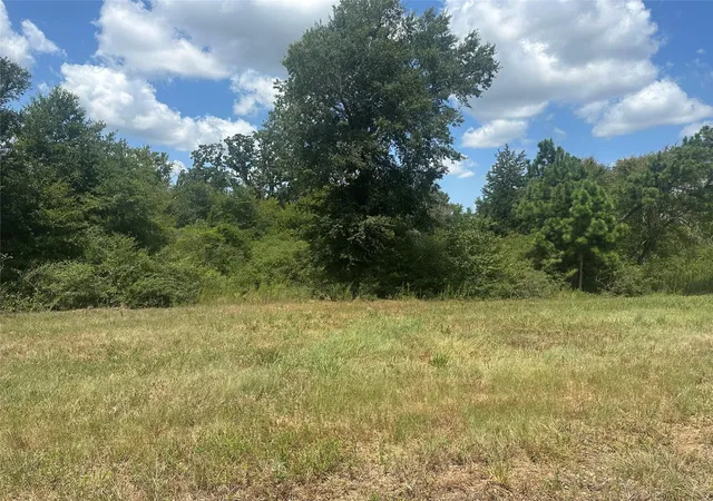 5th image of 00 County Road 322, Jewett, TX 75846 | MLS# 3445452