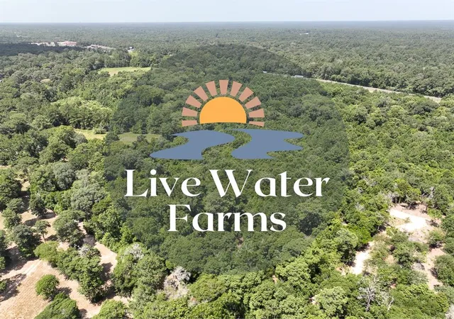 1st image of S1l3 Lake Pool Rd, Shepherd, TX 77371 | MLS# 15053369