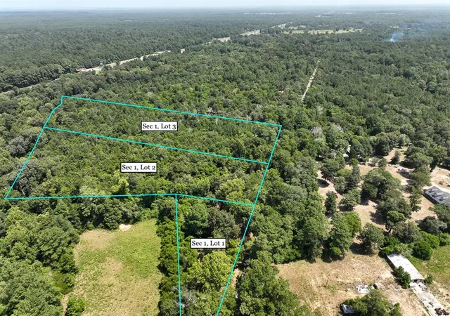 3rd image of S1L3 Lake Pool Rd, Shepherd, TX 77371 | MLS# 15053369