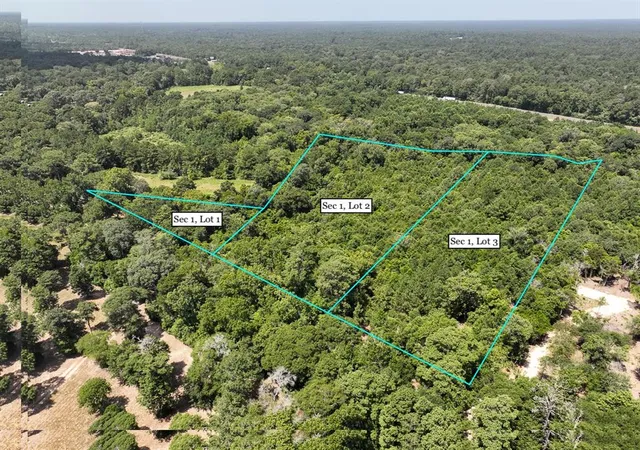 4th image of S1L3 Lake Pool Rd, Shepherd, TX 77371 | MLS# 15053369
