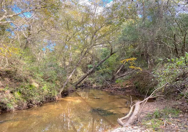 5th image of S1L3 Lake Pool Rd, Shepherd, TX 77371 | MLS# 15053369