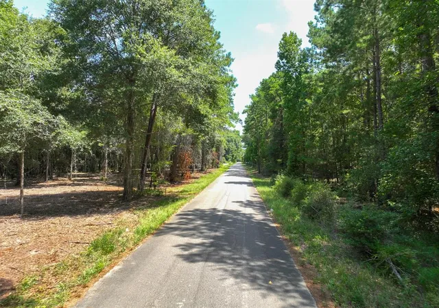 9th image of S1l3 Lake Pool Rd, Shepherd, TX 77371 | MLS# 15053369