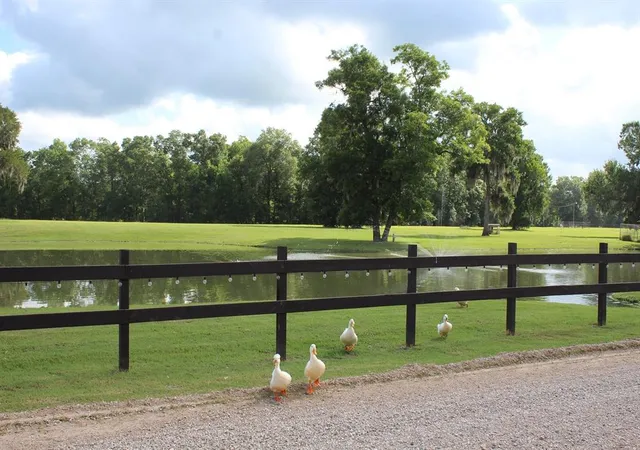 Photo 4 of Land for sale at Tbd Cypress Lakes Cir, Cleveland, TX 77327 | MLS# 10864406 | Listing updated on 2026-10-13