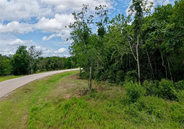 Homes for sale in Chappell Hill, TX | Lot 14 Winding Br, Chappell Hill, TX 77426 | MLS# 90572352