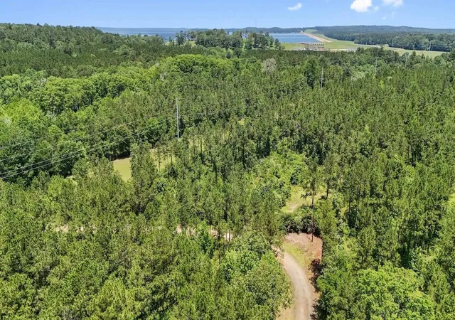 Homes for sale in Burkeville, TX | Tbd Hickman Rd, Burkeville, TX 75932 | MLS# 15718513