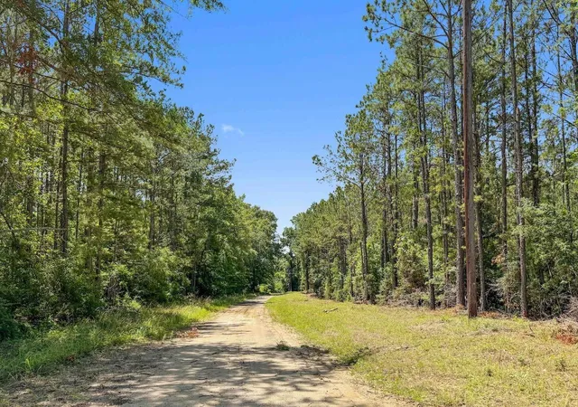 Homes for sale in Burkeville, TX | Tbd Hickman Rd, Burkeville, TX 75932 | MLS# 15718513