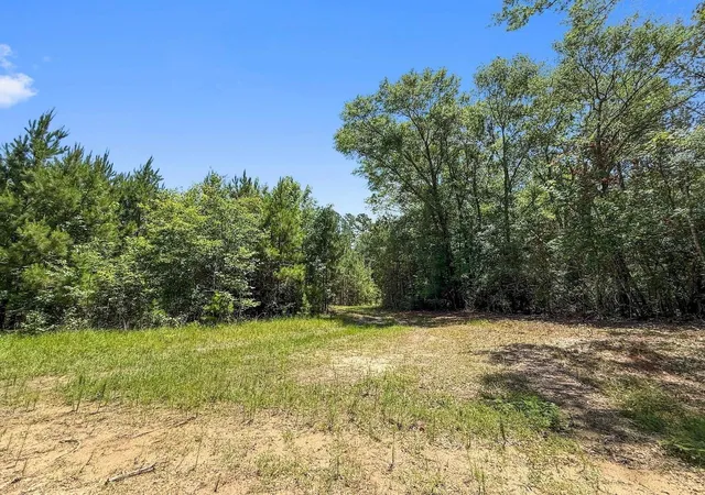 Homes for sale in Burkeville, TX | Tbd Hickman Rd, Burkeville, TX 75932 | MLS# 15718513