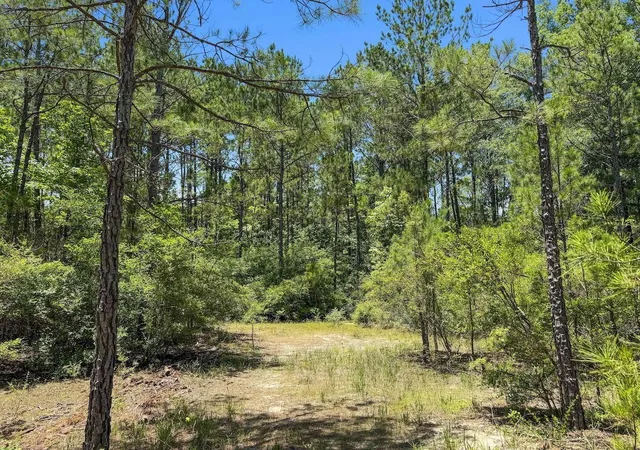 Homes for sale in Burkeville, TX | Tbd Hickman Rd, Burkeville, TX 75932 | MLS# 15718513