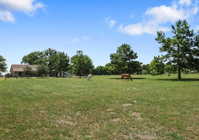 Homes for sale in Grapeland, TX | 384 County Road 1875, Grapeland, TX 75844 | MLS# 19977728