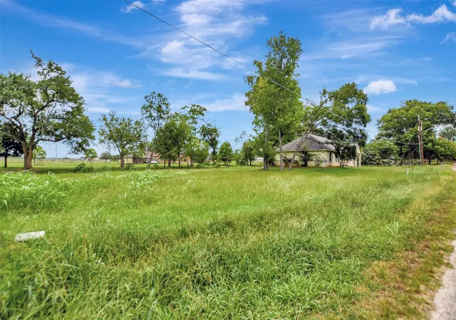 Photo 2 of Land for sale at 308 Heath Ave, Madisonville, TX 77864 | MLS# 32568647 | Listing updated on 2026-08-05