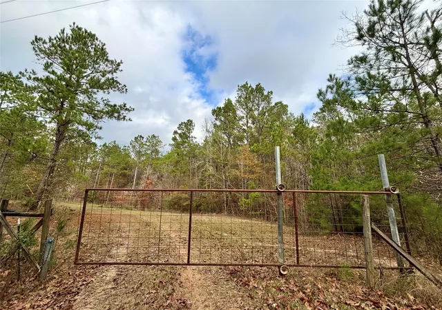 Homes for sale in Colmesneil, TX | 235 Private Road 6912, Colmesneil, TX 75938 | MLS# 58611412