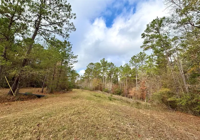 Homes for sale in Colmesneil, TX | 235 Private Road 6912, Colmesneil, TX 75938 | MLS# 58611412