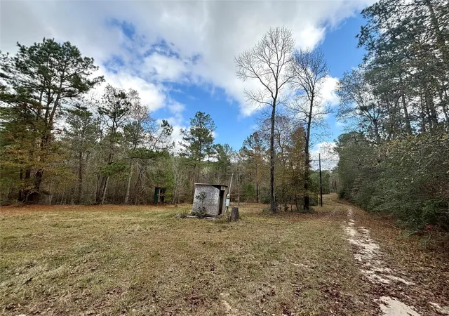 Homes for sale in Colmesneil, TX | 235 Private Road 6912, Colmesneil, TX 75938 | MLS# 58611412