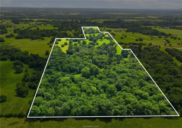 Photo 15 of Land for sale at Tbd Fm 2562, Anderson, TX 77830 | MLS# 2699922 | Listing updated on 2026-07-23