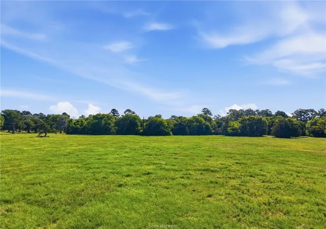 Photo 1 of Land for sale at Tbd Fm 2562, Anderson, TX 77830 | MLS# 2699922 | Listing updated on 2026-07-23