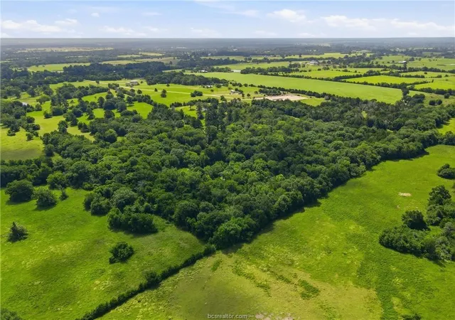 Photo 4 of Land for sale at Tbd Fm 2562, Anderson, TX 77830 | MLS# 2699922 | Listing updated on 2026-07-23
