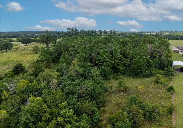 Photo 2 of Land for sale at Tbd Fm 2819, Anderson, TX 77830 | MLS# 10448461 | Listing updated on 2026-06-01