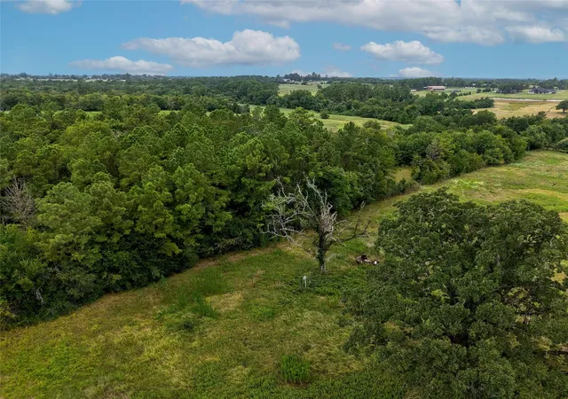 Photo 3 of Land for sale at Tbd Fm 2819, Anderson, TX 77830 | MLS# 10448461 | Listing updated on 2026-06-01