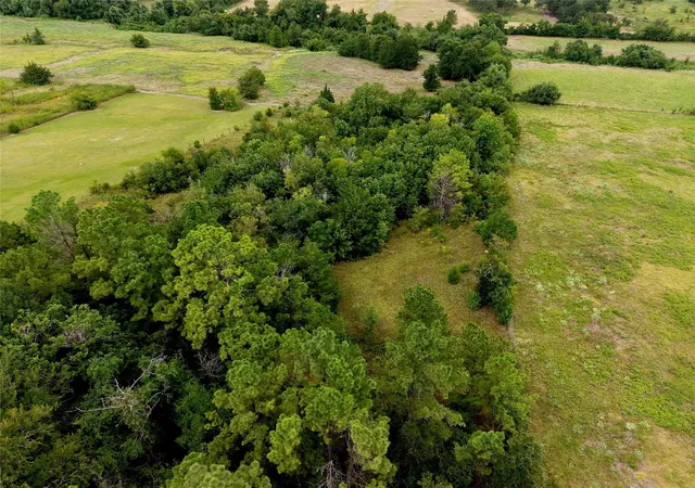 Photo 4 of Land for sale at Tbd Fm 2819, Anderson, TX 77830 | MLS# 10448461 | Listing updated on 2026-06-01