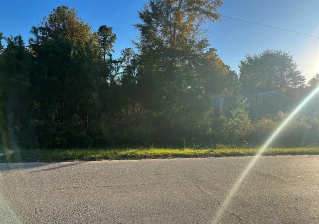 Photo 3 of Land for sale at 146 County Road 3479A, Cleveland, TX 77327 | MLS# 21600413 | Listing updated on 2025-11-17