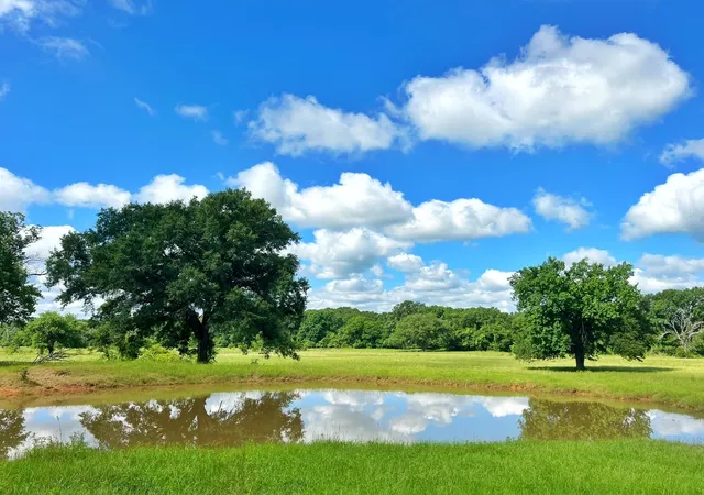 Photo 1 of Land for sale at 78 Ac Cr 1080, Fairfield, TX 75840 | MLS# 16716864 | Listing updated on 2026-04-23