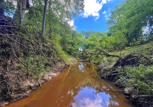 Photo 2 of Land for sale at 78 Ac Cr 1080, Fairfield, TX 75840 | MLS# 16716864 | Listing updated on 2026-04-23