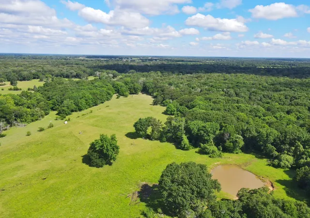 Photo 3 of Land for sale at 78 Ac Cr 1080, Fairfield, TX 75840 | MLS# 16716864 | Listing updated on 2026-04-23