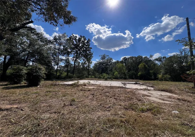 3rd image of 24450 Fm 2090 Rd, Splendora, TX 77372 | MLS# 49344425
