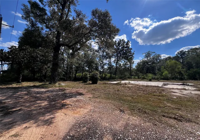 5th image of 24450 Fm 2090 Rd, Splendora, TX 77372 | MLS# 49344425