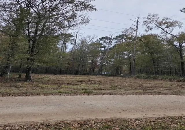 Photo 1 of Land for sale at 222 Wendy Wy, Livingston, TX 77351 | MLS# 49022177 | Listing updated on 2026-09-10