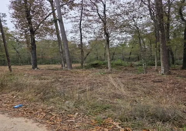 Photo 2 of Land for sale at 222 Wendy Wy, Livingston, TX 77351 | MLS# 49022177 | Listing updated on 2026-09-10