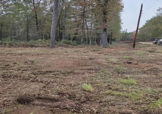Photo 3 of Land for sale at 222 Wendy Wy, Livingston, TX 77351 | MLS# 49022177 | Listing updated on 2026-09-10