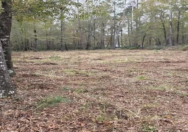 Photo 3 of Land for sale at 222 Wendy Wy, Livingston, TX 77351 | MLS# 49022177 | Listing updated on 2026-09-10