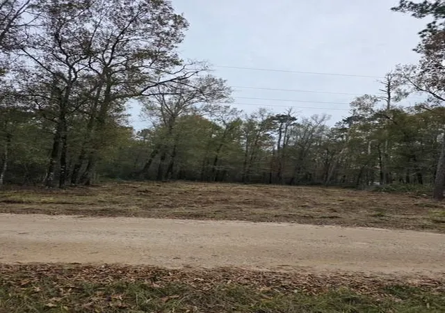 Photo 4 of Land for sale at 222 Wendy Wy, Livingston, TX 77351 | MLS# 49022177 | Listing updated on 2026-09-10