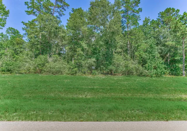 Photo 4 of Land for sale at 15546 Republic Park Trl, Willis, TX 77378 | MLS# 73886322 | Listing updated on 2026-06-29