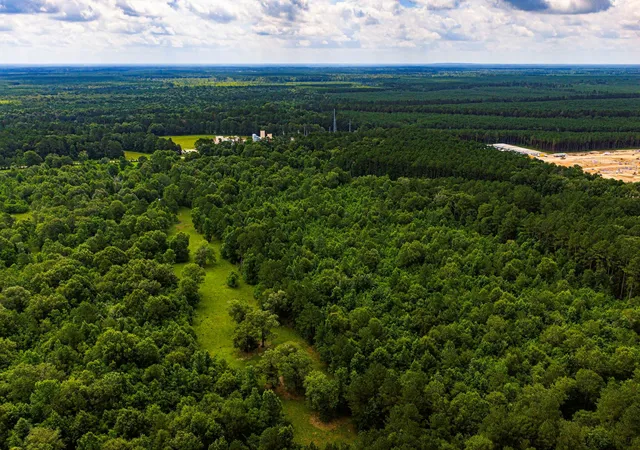 3rd image of Tract 11 Pelican Road, Shepherd, TX 77371 | MLS# 88684056