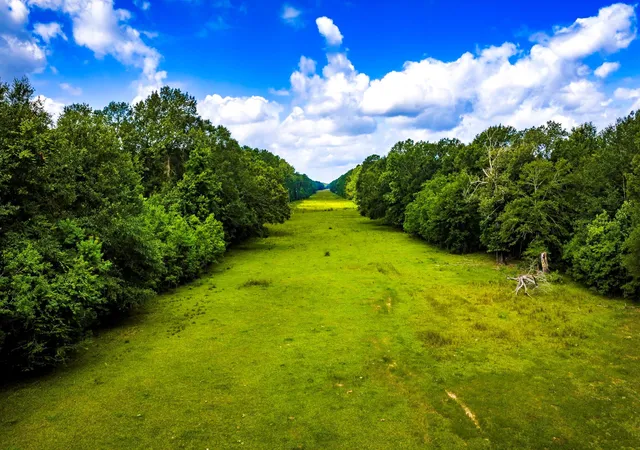 4th image of Tract 11 Pelican Road, Shepherd, TX 77371 | MLS# 88684056