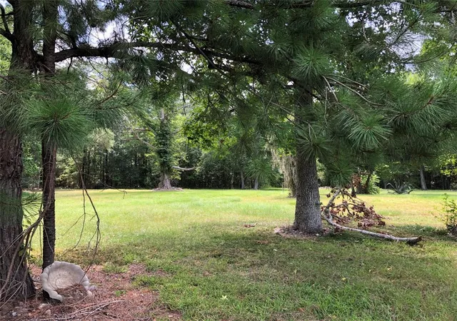 Photo 3 of Land for sale at 6813 Fm 563 Rd, Liberty, TX 77575 | MLS# 81119173 | Listing updated on 2026-07-08