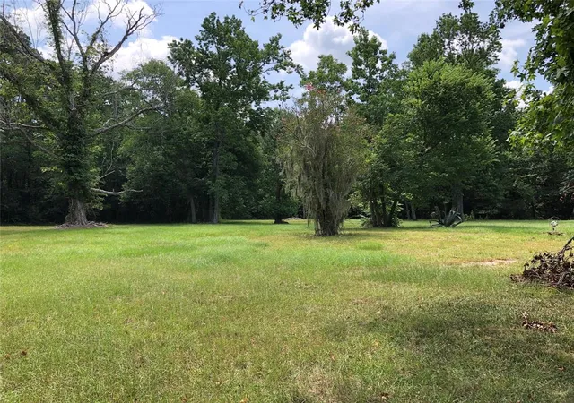 Photo 3 of Land for sale at 6813 Fm 563 Rd, Liberty, TX 77575 | MLS# 81119173 | Listing updated on 2026-07-08