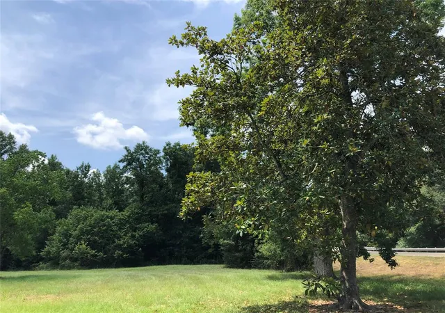 Photo 4 of Land for sale at 6813 Fm 563 Rd, Liberty, TX 77575 | MLS# 81119173 | Listing updated on 2026-07-08