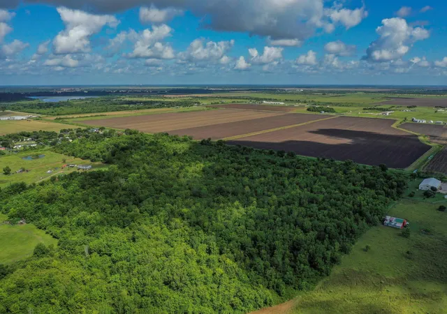 4th image of Tr 7 Fm 1462, Rosharon, TX 77583 | MLS# 80297047