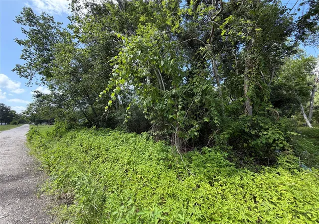 1st image of Lot 97 Lost Forest Dr, Guy, TX 77444 | MLS# 22321532