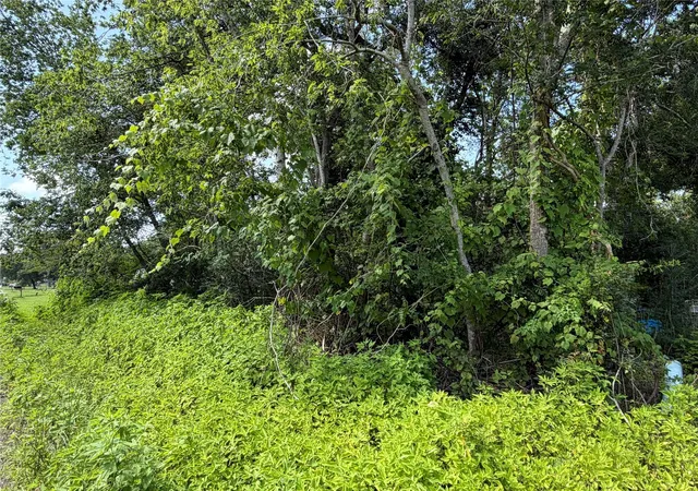 2nd image of Lot 97 Lost Forest Dr, Guy, TX 77444 | MLS# 22321532