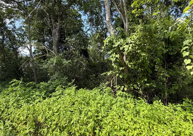 3rd image of Lot 97 Lost Forest Dr, Guy, TX 77444 | MLS# 22321532