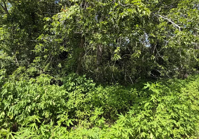 4th image of Lot 97 Lost Forest Dr, Guy, TX 77444 | MLS# 22321532