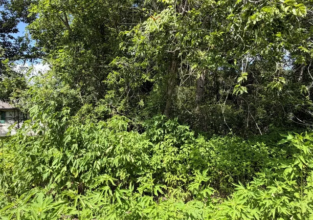 5th image of Lot 97 Lost Forest Dr, Guy, TX 77444 | MLS# 22321532